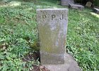 P.P.J. Johnson